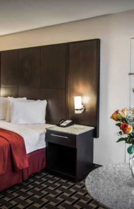 {{brizy_dc_image_alt imageSrc=